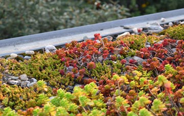 the cost of Claybrooke Magna green roof installation