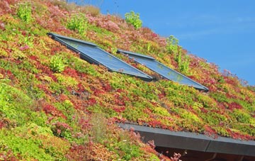 Claybrooke Magna living roof systems