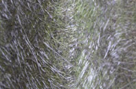 Claybrooke Magna fibreglass roof work